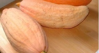 Winter Squash Banana