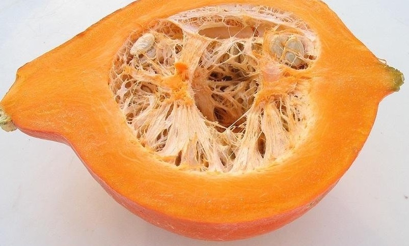 Kabocha Squash, Japanese Pumpkin Red Kuri