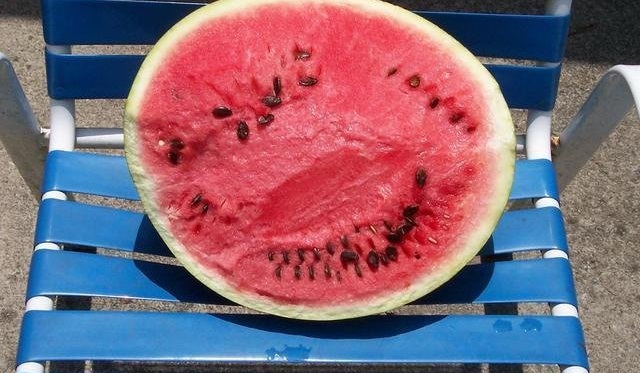 Watermelon Dixielee