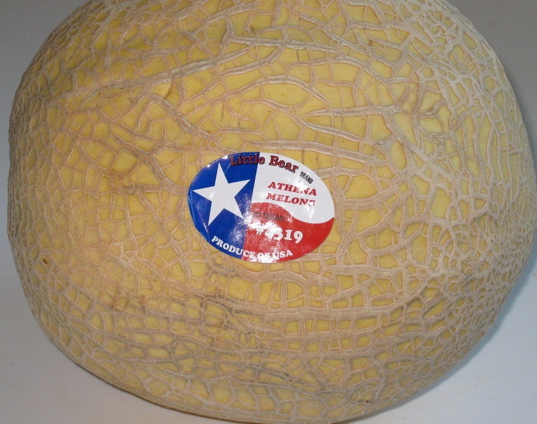 Cucumis, Cantaloupe Athena