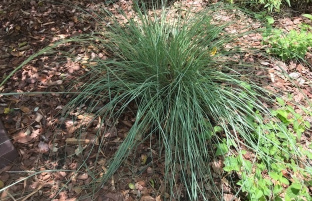 Blue Love Grass Wind Dancer