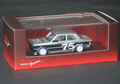 True Scale 1/43 Datsun 510 1976 #75 Paul Newman PLN Racing