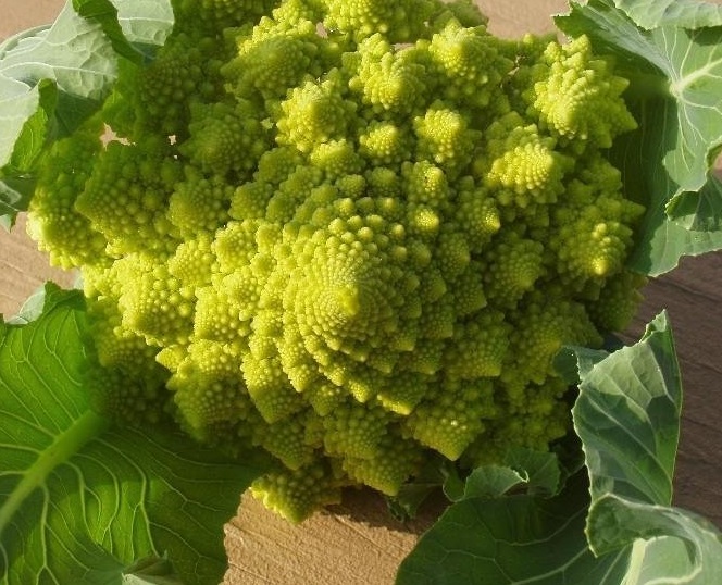 Cauliflower Romanesco