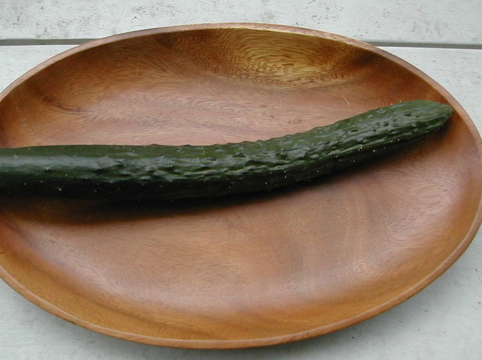 Cucumber Summer Delight