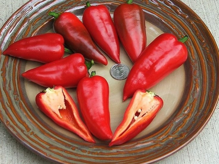 Sweet Pepper Chervena Chushka
