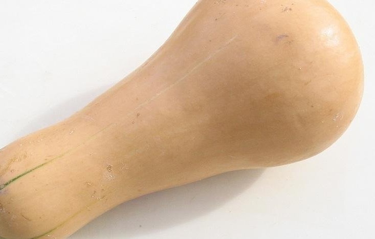 Butternut Squash, Winter Squash Burpees Butterbush