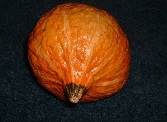Hubbard Squash, Winter Squash Golden Hubbard