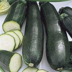 Zucchini, Courgette, Summer Squash Jackpot
