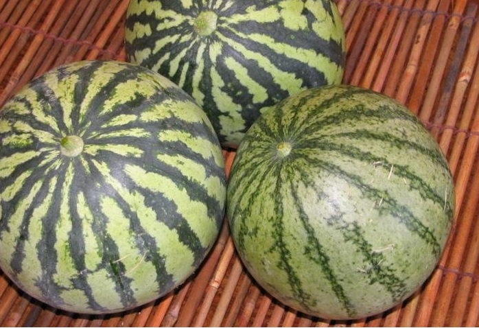 Watermelon Asahi-Miyako