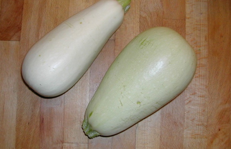Lebanese Squash, Kusa Lubnani