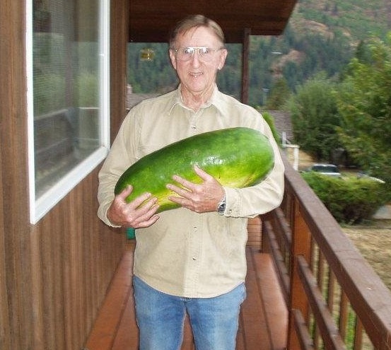 Watermelon Schochler