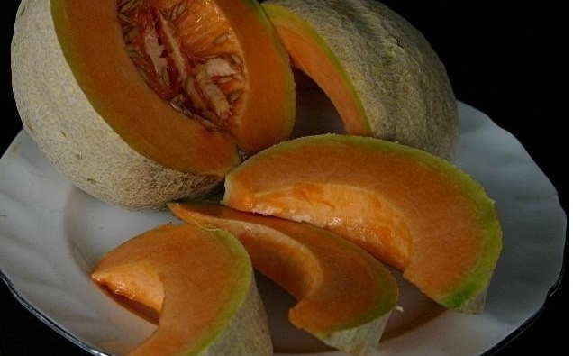 Cantaloupe Eclipse
