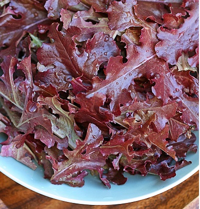 Lactuca, Lettuce, Red Loose Leaf Lettuce Mascara