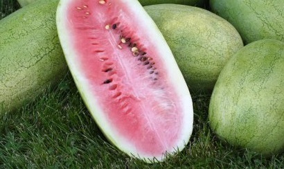 Watermelon Ali Baba