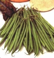 Snap Bean (Green, String or French Bean) Schubert