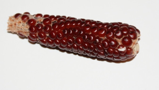 Popcorn Chires