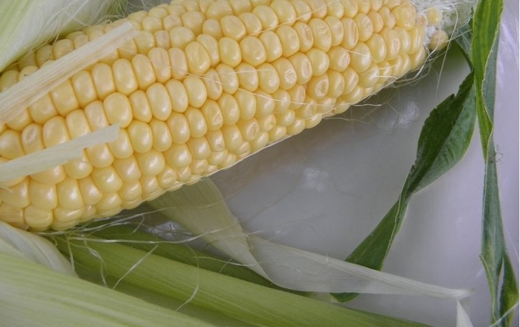 Sweet Corn Buhl