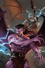 Gargoyles #4 Cvr O 75 Copy Incv Leirix Virgin (STL261230)