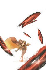 Tim Drake Robin #7 Cvr B Nikola Cizmesija Card Stock Var
