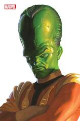 Hulk #13 Alex Ross Timeless Leader Virgin Var (STL258143)