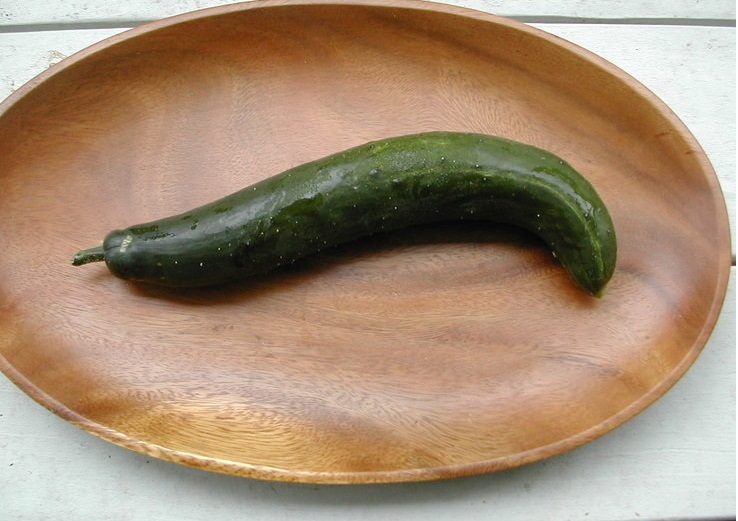 Cucumber Spring Swallow