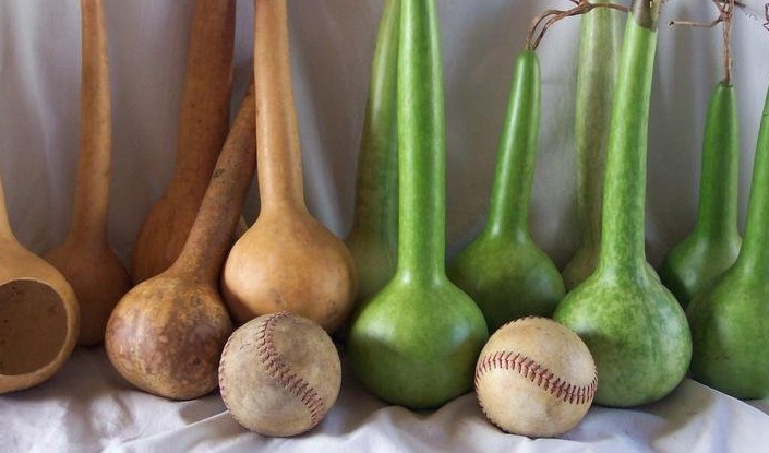 Lagenaria, Calabash, Hard-Shelled Gourd Short Handled Dipper