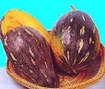 Kabocha Squash, Japanese Pumpkin Papaya Sweet