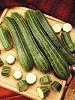 Zucchini, Courgette, Summer Squash Largo