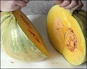 Pumpkin, Winter Squash Agriset 9001