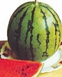 Watermelon Red Doll