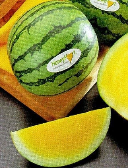 Watermelon Honeyheart