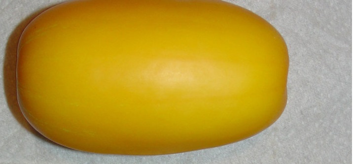 Crisp Melon Golden Sweet