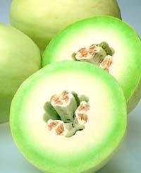 Honey Dew Melon Morning Ice