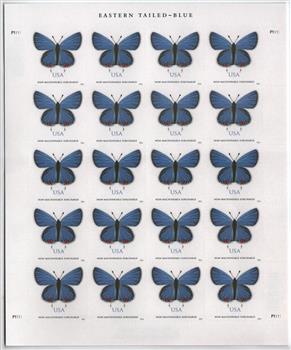 US #5136