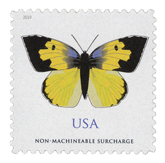 US #5346