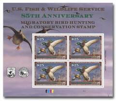 US #RW85b