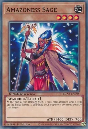 Amazoness Sage - SGX3-END08 - Common - 1st Edition