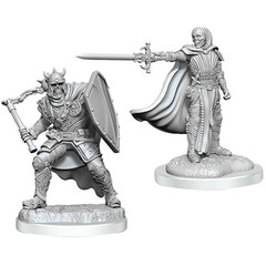 D&D Nolzur's Marvelous Miniatures: W20 Death Knights