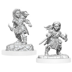 D&D Nolzur's Marvelous Miniatures: W20 Female Halfling Rogue