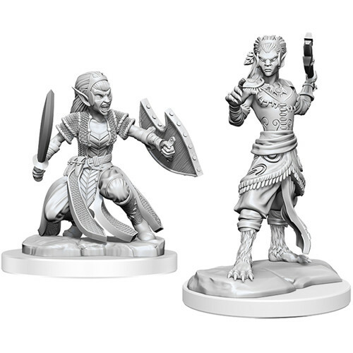 D&D Nolzurs Marvelous Miniatures: W20 Shifter Fighter