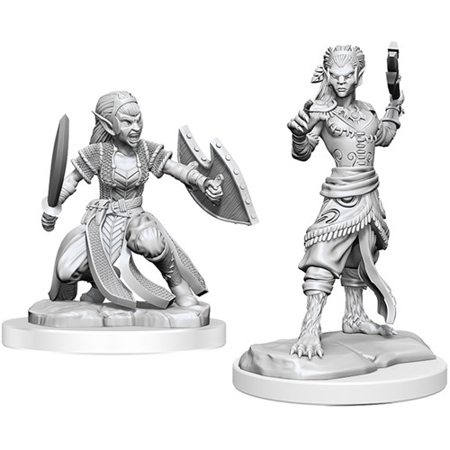 D&D Nolzurs Marvelous Miniatures: W20 Shifter Fighter