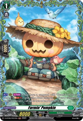 Farmin Pumpkin - D-BT09/FR37EN - FR