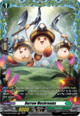 Burrow Mushrooms - D-BT09/FR38EN - FR