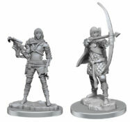 WizKids Deep Cuts: Human Rogue