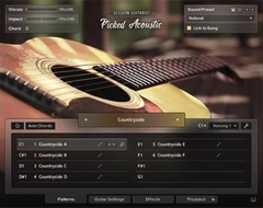 Native Instruments Session Guitarist - Picked Acoustic