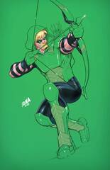 Green Arrow #1 (Of 6) Cvr C David Nakayama Card Stock Var (STL267638)