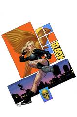 Green Arrow #1 (Of 6) Cvr B Frank Cho Card Stock Var (STL267637)