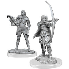 WizKids Deep Cuts Unpainted Minis: W20 Female Human Rogue