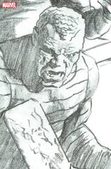 Red Goblin #3 100 Copy Incv Ross Timeless Sandman Vir Sketch Var (STL262087)