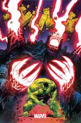 Hulk #14 Klein Var (STL262055)